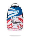 USPS SPRAYGROUND SPECIAL DELIVERY BACKPACK