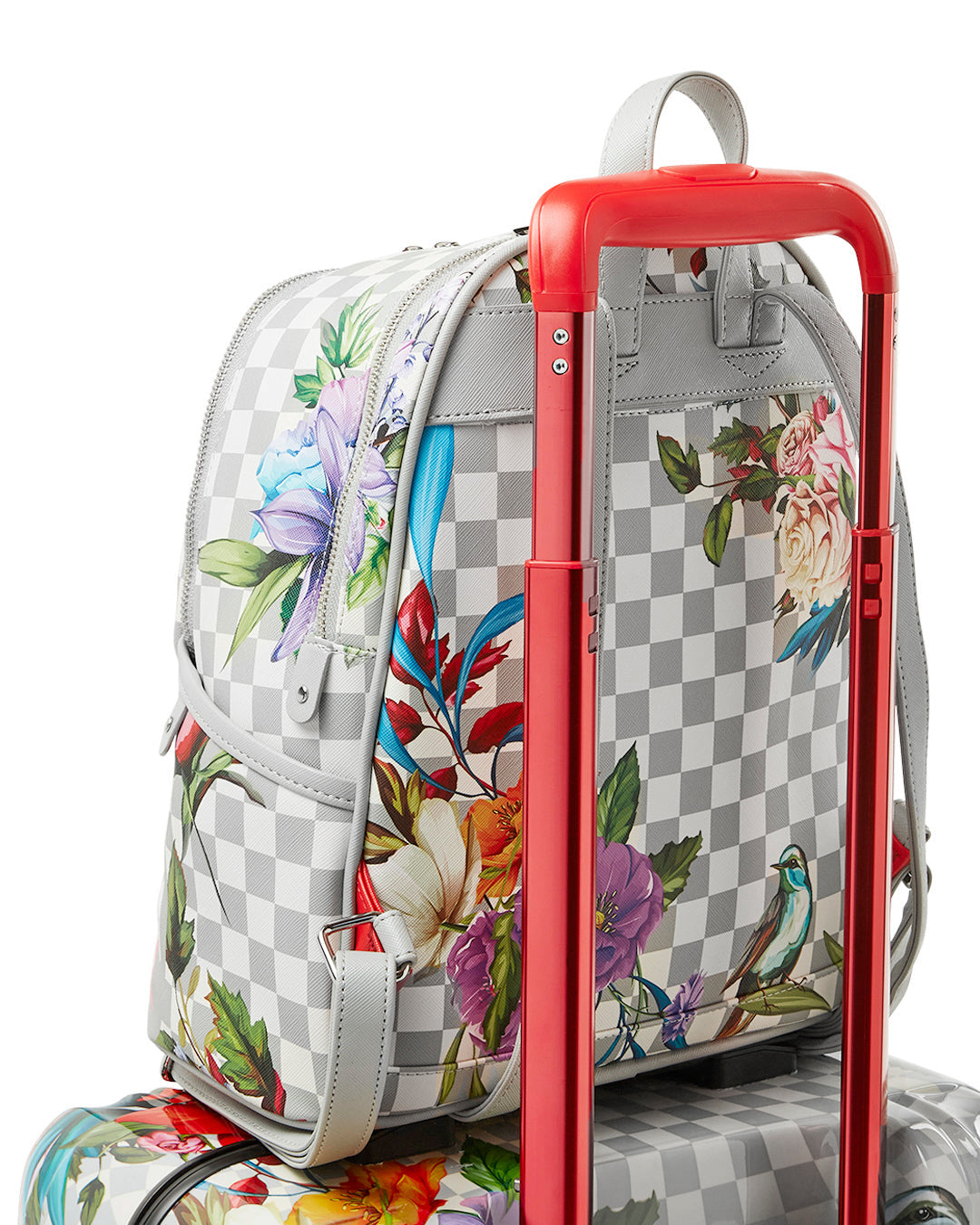 JARDIN DU PALAIS SHARKNAUTICS HARDSHELL CARRY-ON LUGGAGE